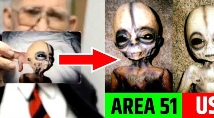 aliens area